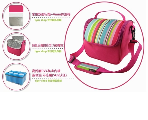 Insulated Food Kids Lunch Bags / Portable Small Insulated Lunch Bag