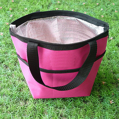 Outdoor Insulated Picnic Travel Cooler Bag Large Capacity For Hiking